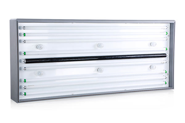 白熾燈和鹵鎢燈可以做標(biāo)準(zhǔn)光源嗎？