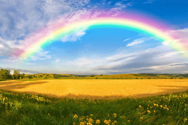 什么是光源的光譜特性？它與顏色的形成有什么關(guān)系？ 